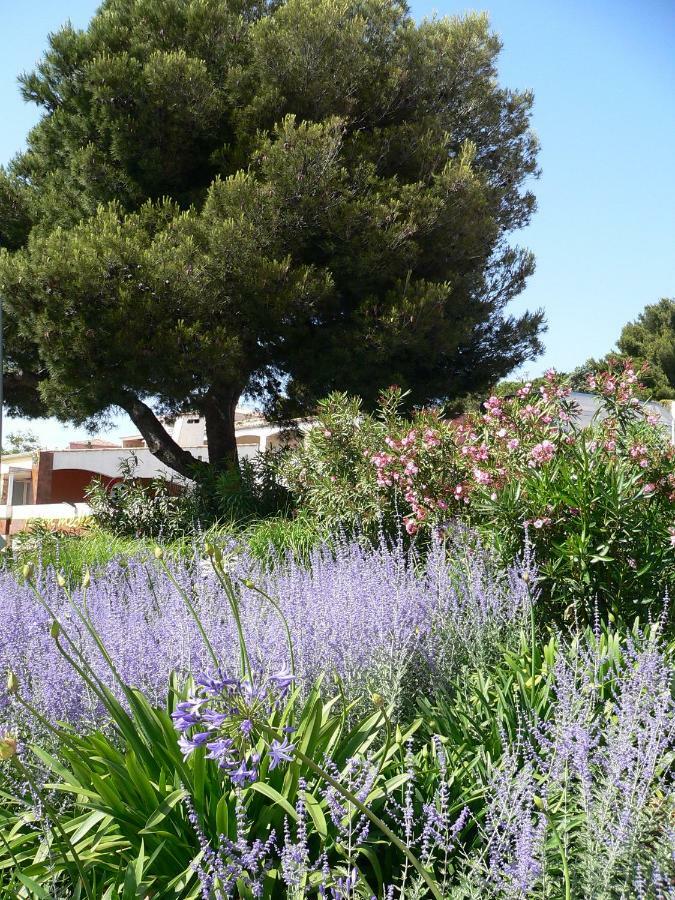 "Bien Vivre Ensemble" Aux Marches Du Soleil - Chambres Privees Chez L'Habitant Dans Appartement Partage Сет Екстер'єр фото